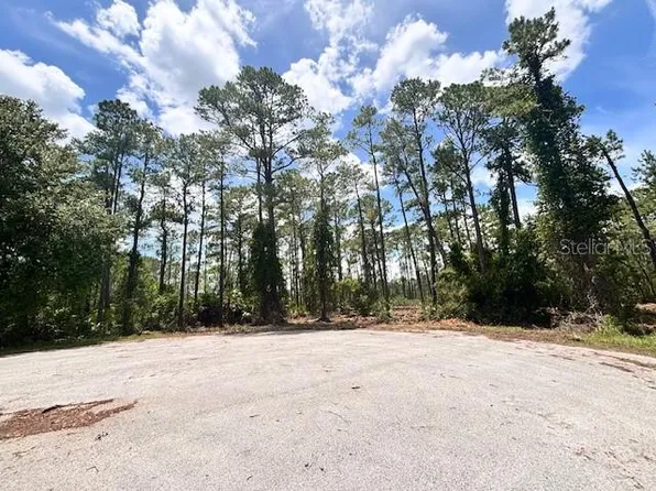 Chinaberry Way Lot 9, Eustis, FL 32736