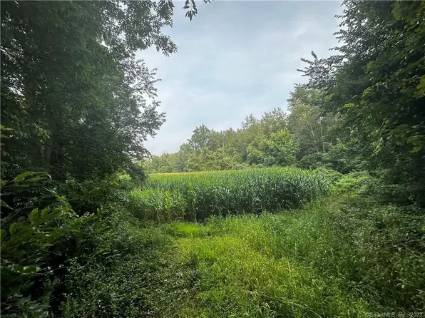 0 Westminster Road, Canterbury, CT 06331
