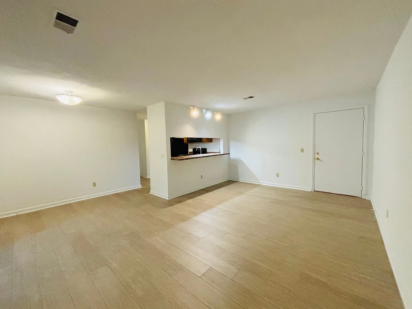 4 Bedroom 2 Bath Condo — Photo 2