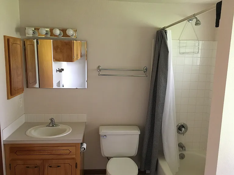 Main bathroom