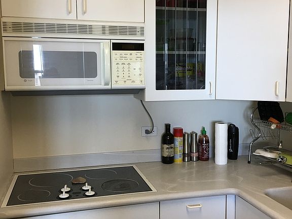 5th image of 777 N Michigan Ave APT 3607