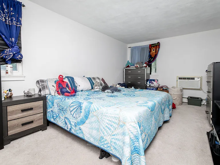 245 Lafayette St #2D — Photo 10