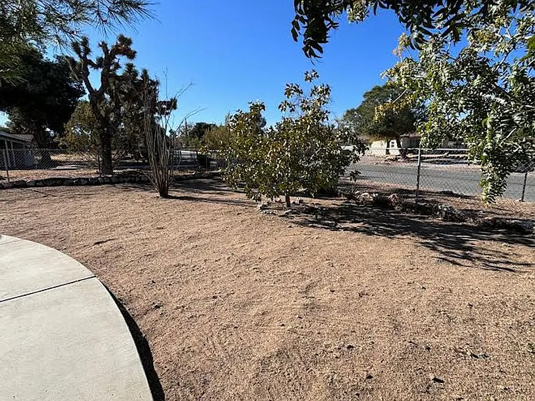 7423 Dumosa Ave — Photo 2
