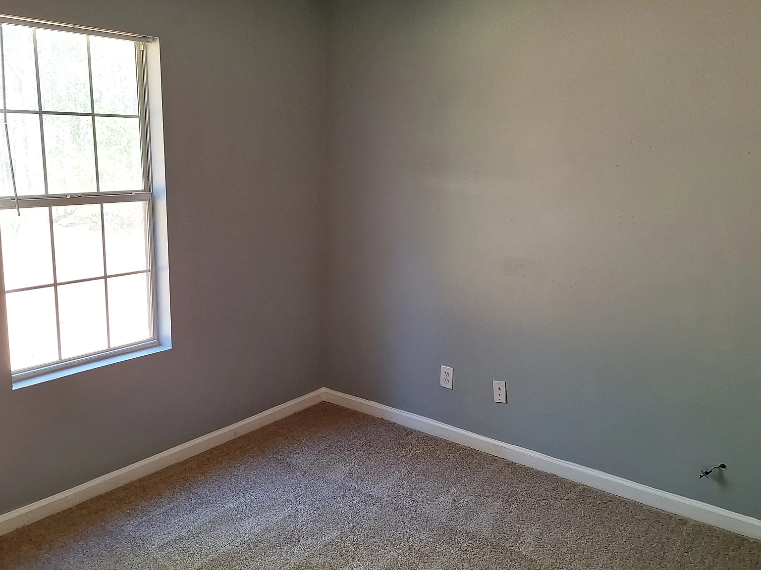 3 bed, 1288 sqft, $1,995 — Photo 4
