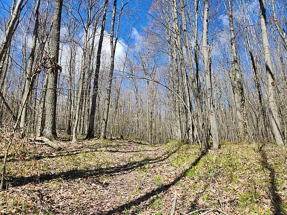 2nd image of 5687 S Frank Smith Rd