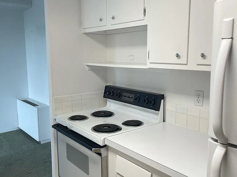 421 S Howes St #703 — Photo 9