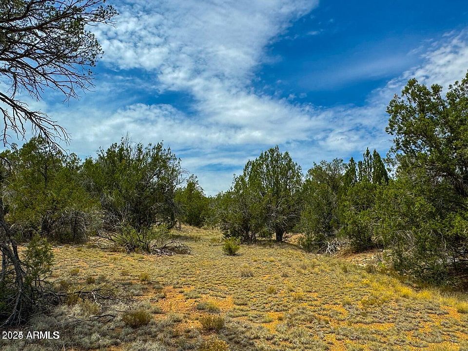 1st image of 32424 W CAMINO OSO -- #1908