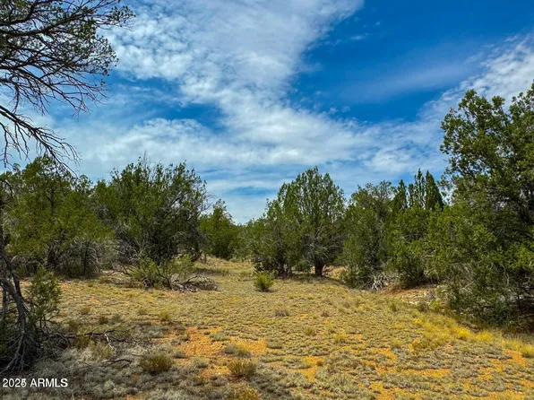 32424 W CAMINO OSO -- #1908, Seligman, AZ 86337