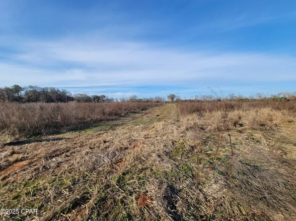 0 Gainer Cemetary Rd, Graceville, FL 32440