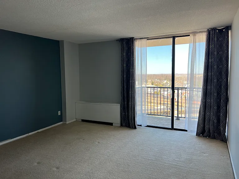 4 Monroe St #1201 — Photo 2