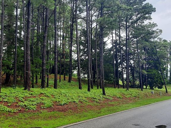 4th image of 4040 Barnes Bluff Drive SE LOT 2