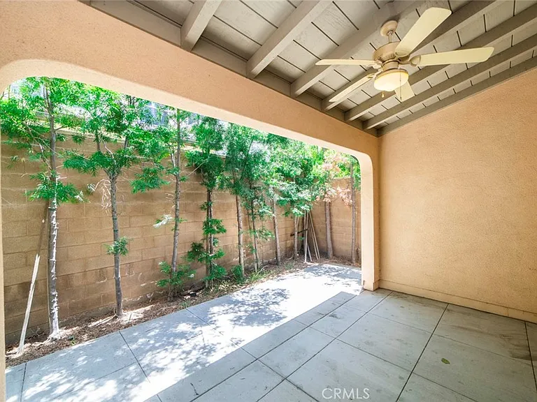 33 Bromeliad — Photo 28