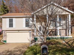 437 Elm Crossing Ct, Ballwin, MO 63021