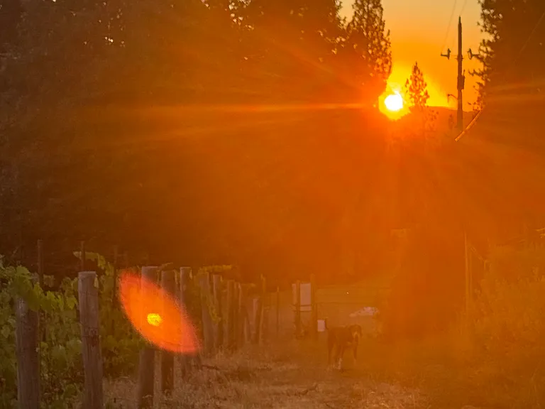 winery on property
