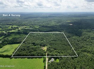 55 Amacker Rd, Poplarville, MS 39470
