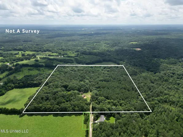 55 Amacker Rd, Poplarville, MS 39470