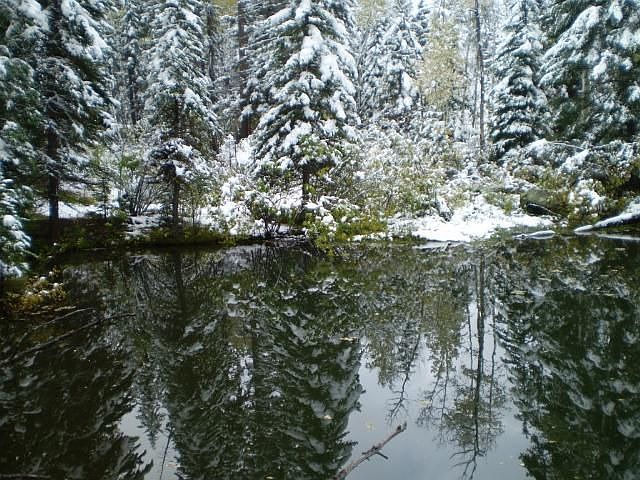 1st image of 2454 County Road 782