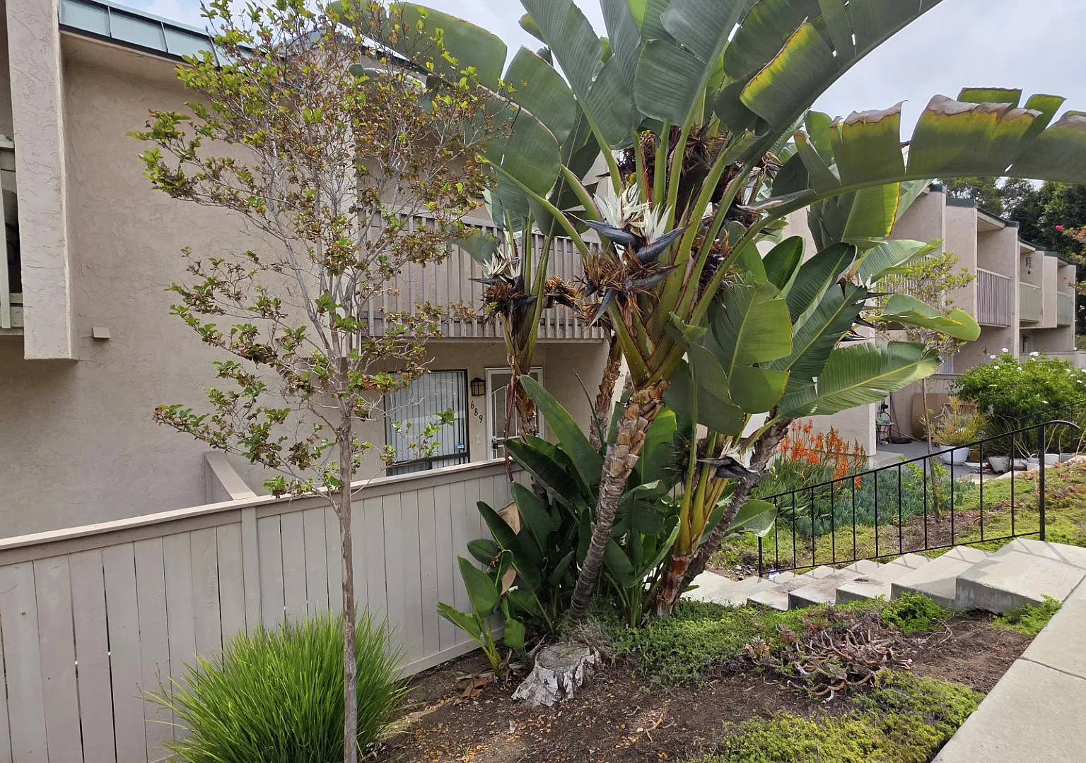 2 bed, 1.5 bath, 1225 sqft, $3,000 — Photo 1