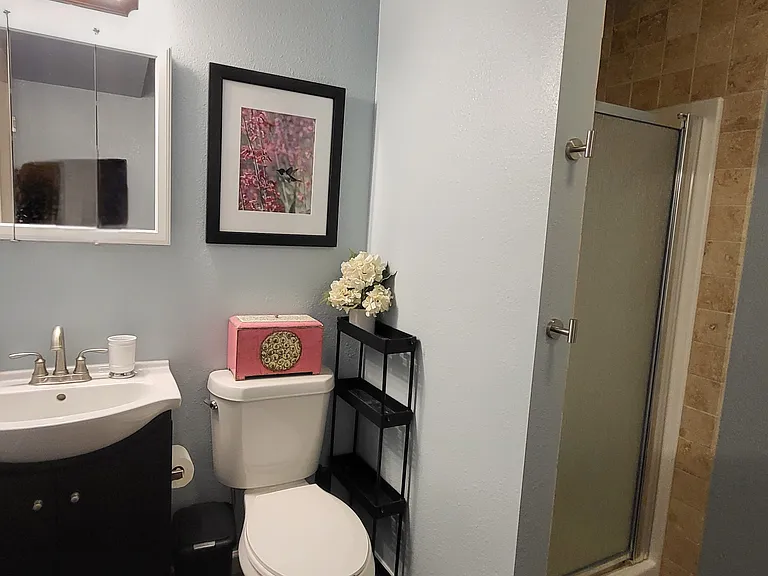 Spacious basement bathroom with small shower.
