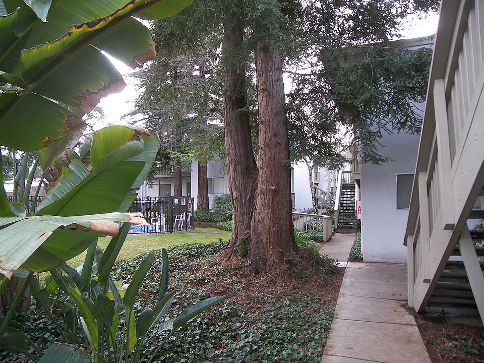 1st image of 4230 San Pablo Dam Road # E32 Fl 3rd
