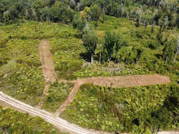 5 Highway 35 S, Walnut Grove, MS 39189