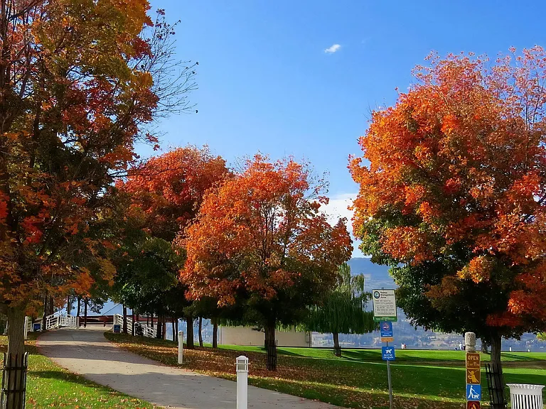 Public Sidewalk Path Surrounded by Autumn Trees and Park Signage