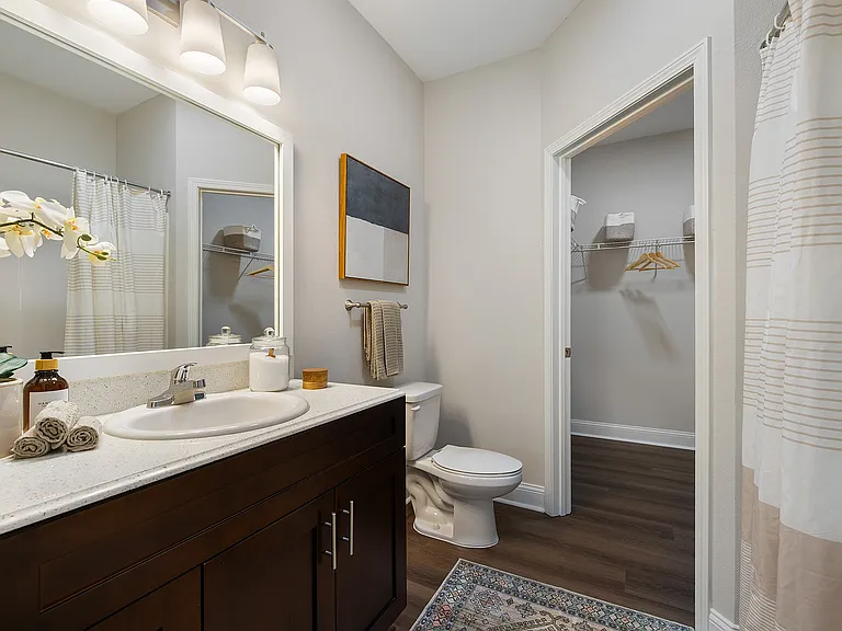 The Apartments at Shade Tree