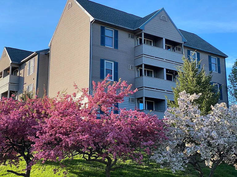 Sunset Ridge Apartments — Photo 5