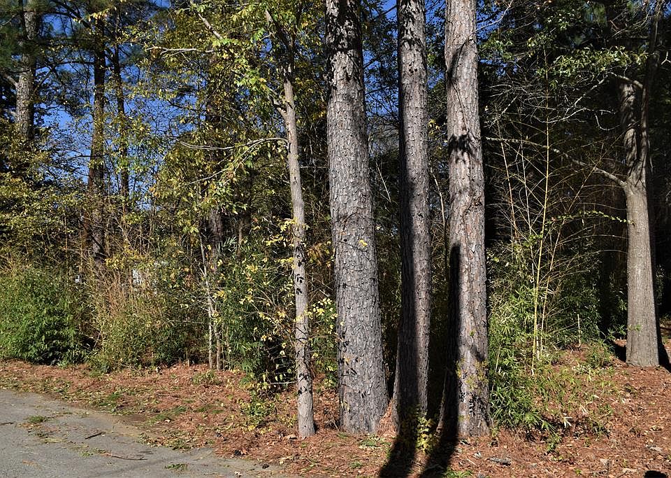 1st image of Royal Forest Dr