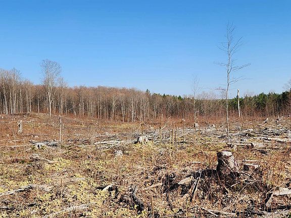 3rd image of Vl 40 Acres Mockingbird Ln