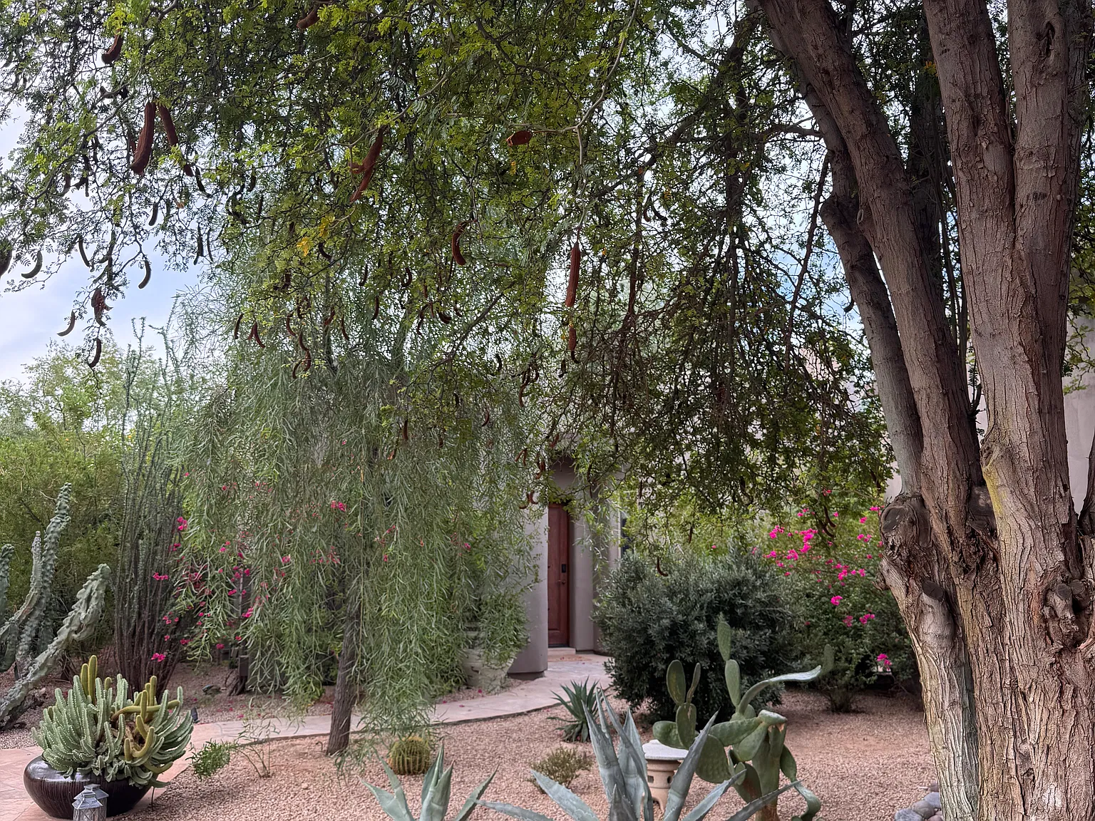 N Saint Andrews Way , Scottsdale — Photo 4