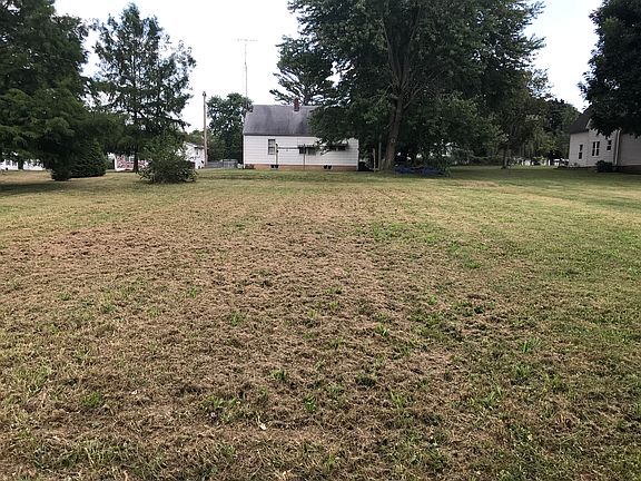 View from back fence