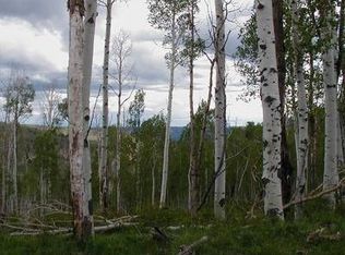 492 207 County Rd, De Beque, CO 81630