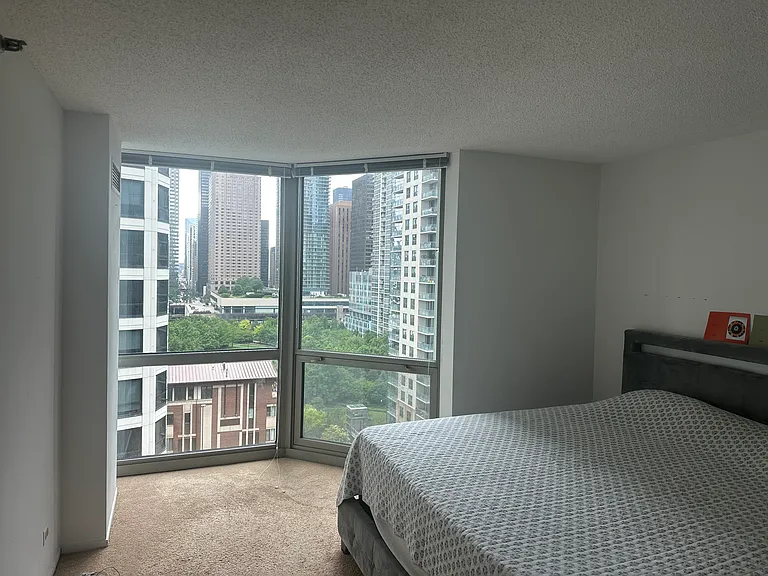 195 N Harbor Dr #1107 — Photo 4