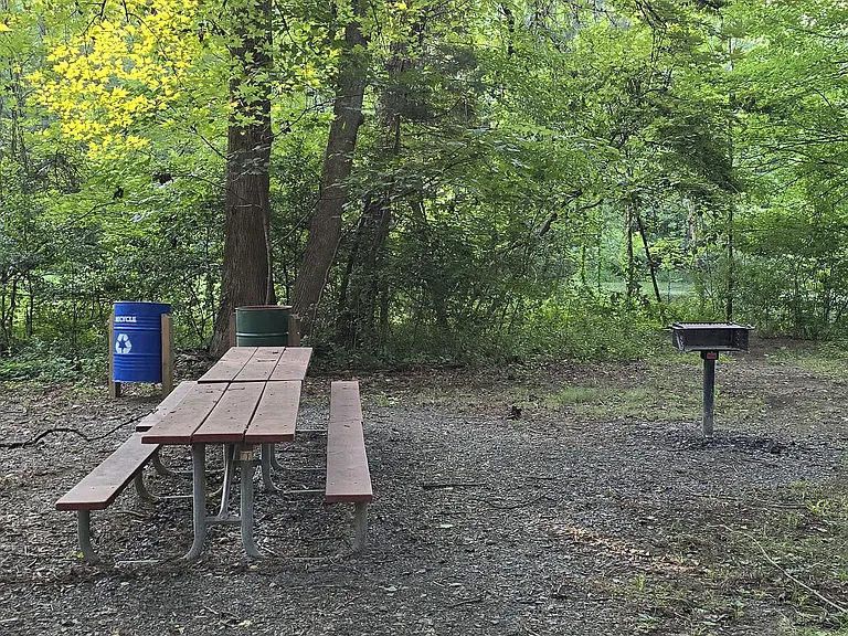 Walk to Piney Branch Park for a picnic with barbeque and small pond