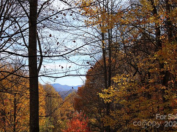 4th image of 1571 Roaring Fork Rd