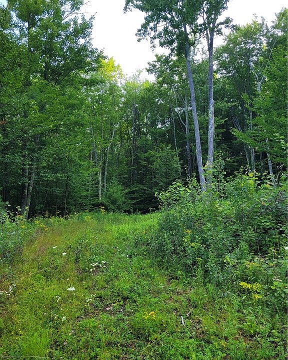 19 Brush Hollow Rd, Bovina Center, NY 13740 MLS R1487538 Zillow