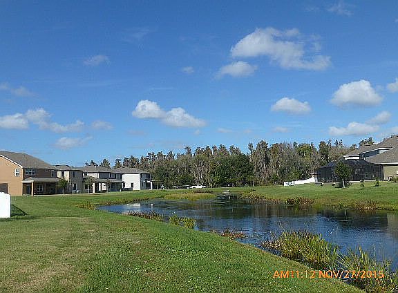Pond in the rear