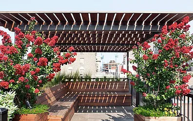 Rented by CiCi Realty Corporation