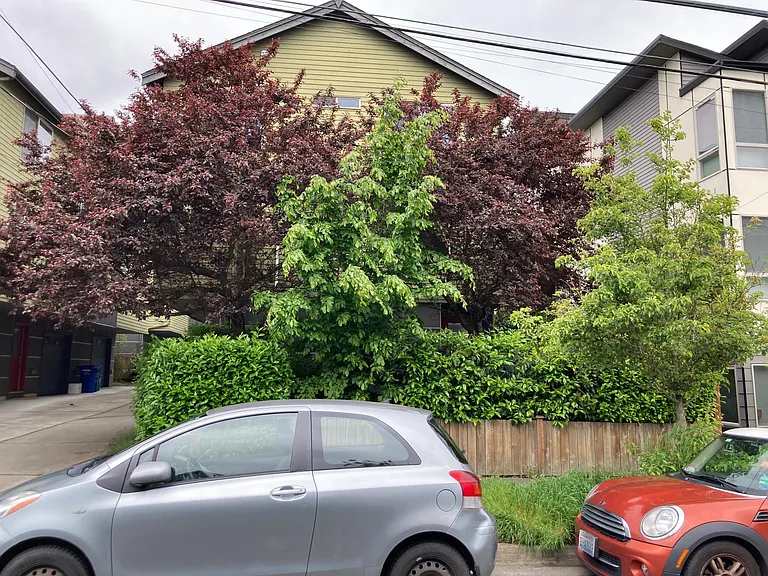 4771 35th Ave S #A — Photo 19