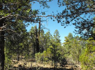5733 Twin Oaks Loop, Happy Jack, AZ 86024