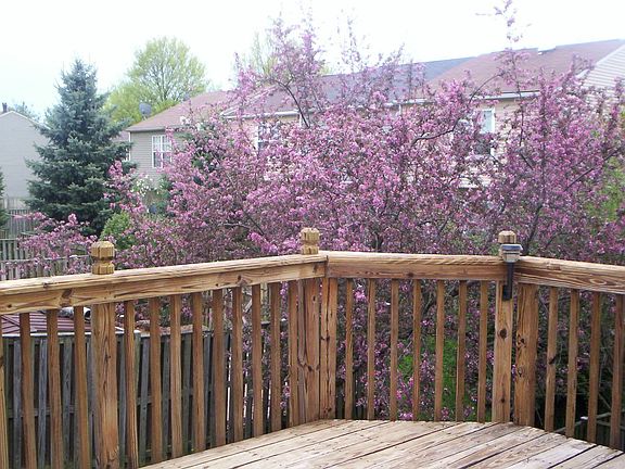 Two level deck 