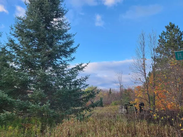 Hazelgreen Rd, Deerbrook, WI 54424