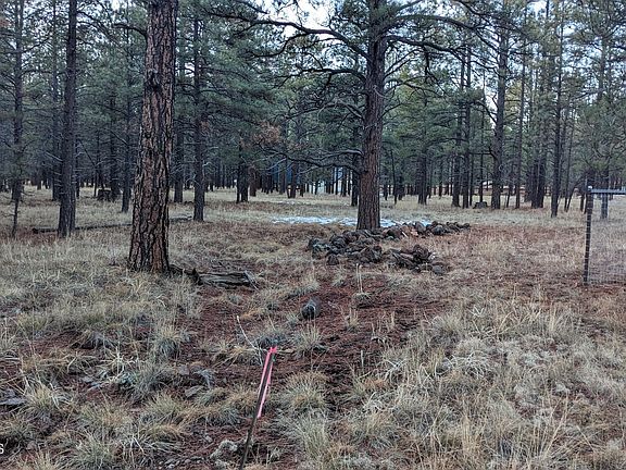 5th image of 0 S Golden Meadows Trl