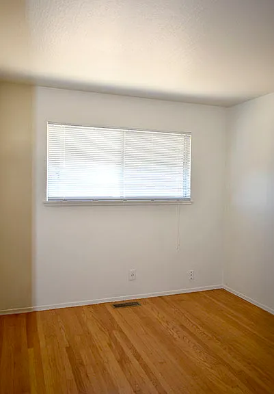 411 Clark Dr — Photo 19