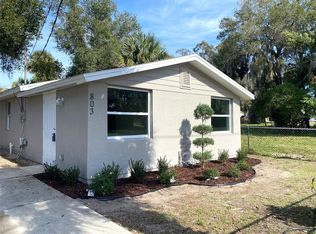 803 E Hazzard Ave, Eustis, FL 32726