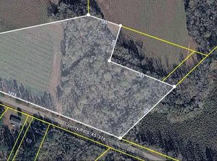 0 Guess Rd, Greeleyville, SC 29056