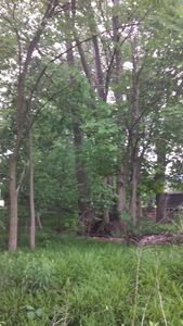 4023 McCrellis Ave NE, Comstock Park, MI, 49321
