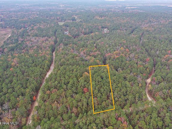 2nd image of 339 Indian Pipe Lane