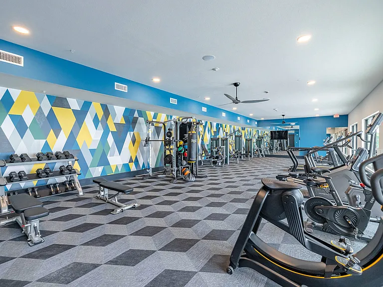 Fitness Center with Cardio, Resistance & Free Weights